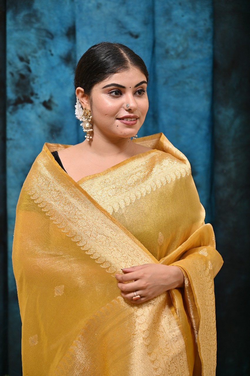 Pure Katan Silk Banarasi Handloom Saree